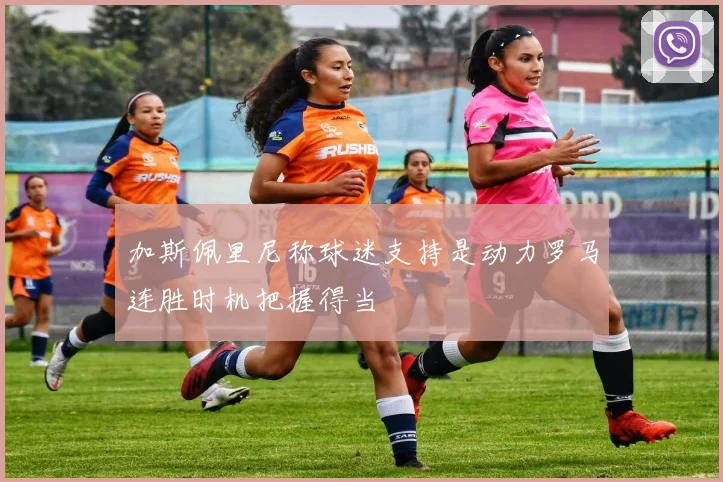 加斯佩里尼称球迷支持是动力罗马连胜时机把握得当